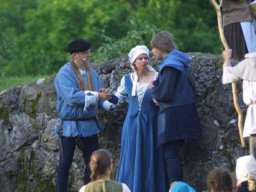 Die Bürger von Frankenberg (2009)